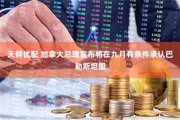 天鲜优配 加拿大总理宣布将在九月有条件承认巴勒斯坦国
