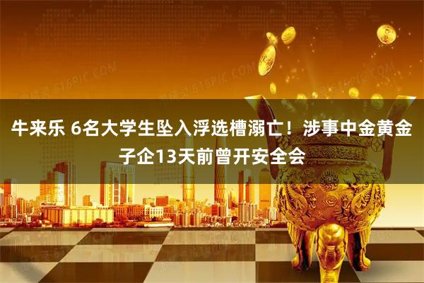 牛来乐 6名大学生坠入浮选槽溺亡！涉事中金黄金子企13天前曾开安全会