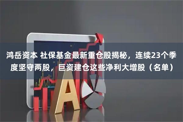 鸿岳资本 社保基金最新重仓股揭秘，连续23个季度坚守两股，巨资建仓这些净利大增股（名单）